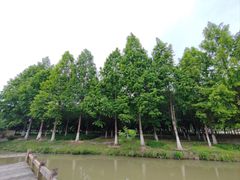 -西安浐灞国家湿地公园