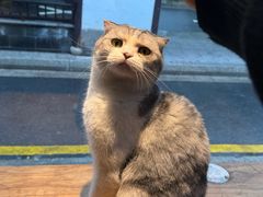 -作咖啡(养育巷店)