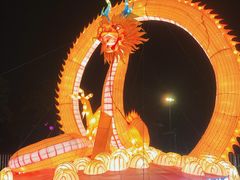 -万绿园