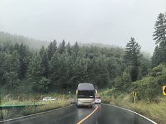 -塞罕坝国家级自然保护区