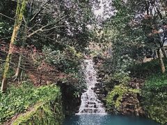 -十八棵（老龙井）御茶园(老龙井店)