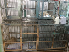 住院部1-瑞派宠物医院(锦江店)