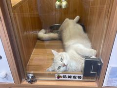 -汤姆宠物(长青北路店)