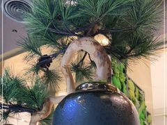 -青花椒花椒鱼(合生汇店)