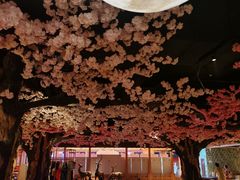 -蓝鲸湾汤泉(包河店)