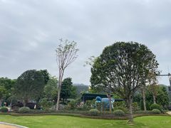 -森波拉奇妙世界