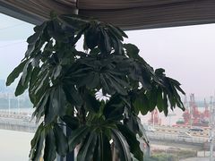 -猪肉婆·德景轩