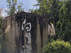 -白鹭湾湿地公园