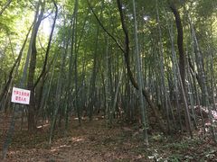 -峙山公园