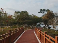 -鹤之洲湿地公园
