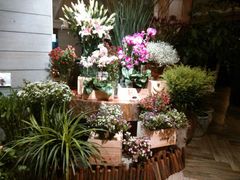 android_upload_pic-春暖花开(西溪店)