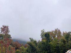 -塔川景区