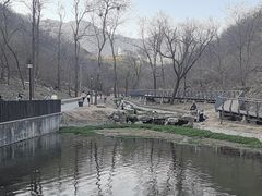 -白水寺森林公园