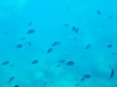 -亚龙湾海底世界