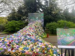 -上海共青森林公园