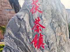 -茯茶镇