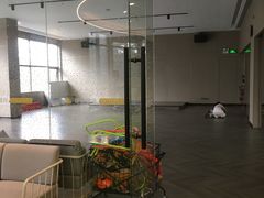 -章鱼健身 Octopus