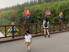 -黄海国家森林公园