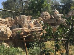 -石家庄市动物园