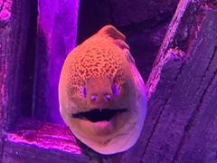 -沈阳海洋探索中心