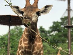 -济南野生动物世界