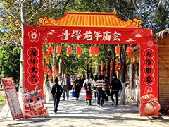 -丹樱生态园