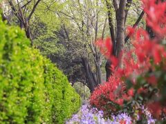 -山东大学(趵突泉校区)
