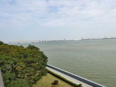 -大湾区中央湿地公园