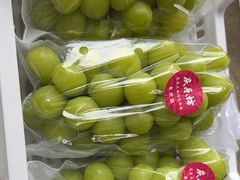 -马陆小张葡萄园农家乐