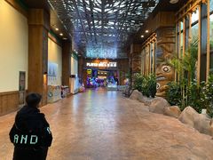 -杭州开元森泊度假乐园