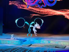 -水秀国际大剧院