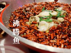 沸腾乌鱼片-柴门饭儿(成都太古里店)