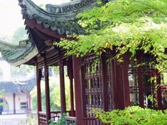 -上海醉白池公园