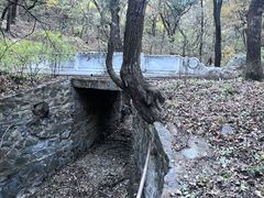 -香山公园