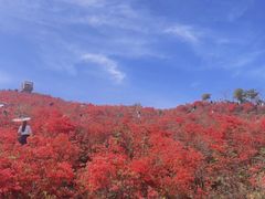 -瑞安圣井山景区