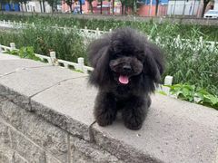 -沐沐家宠物(成寿寺店)