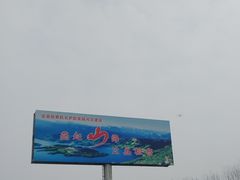 -白洋淀景区