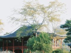 -顺峰山公园