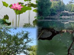 -承德避暑山庄景区