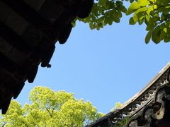 -上海醉白池公园