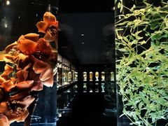 -广东中医药博物馆