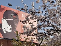-栖露营camping·天幕烧烤·团建拓展·采摘营地