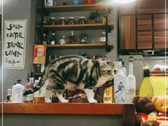 -咖法森林·咖啡  酒吧(天河店)