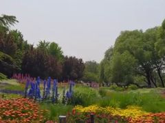 -北坞公园