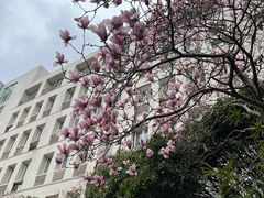 -武汉交通职业学院