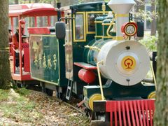 -上海共青森林公园