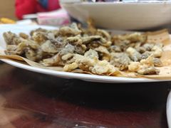 -邵年鸽(杨庄店)