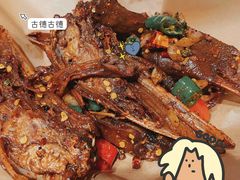 -大萝卜烧烤羊蝎子烤全羊(新城河路店)