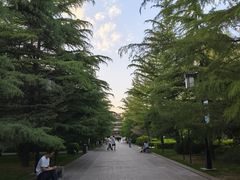 -迎泽公园