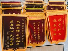 -瑞派雷欧宠物医院·24h夜诊·心脏骨科牙科·全科重症转诊中心(无影山店)